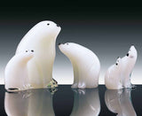 Family of polar bears