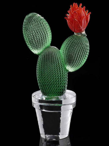 Limited edition cactus with red flower